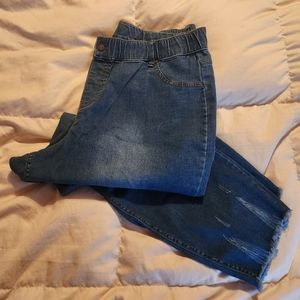 Hue Plus size jeggings